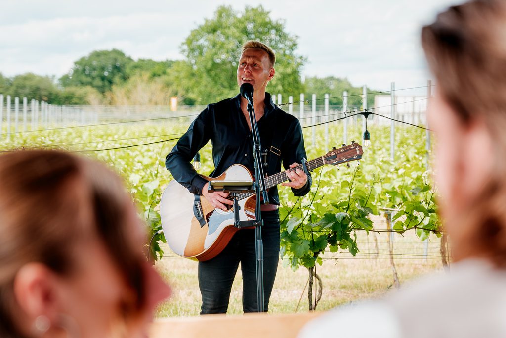 Wedding Entertainment. Singer performing
